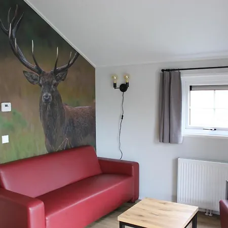 De Bijsselse Enk, Noors 4 *